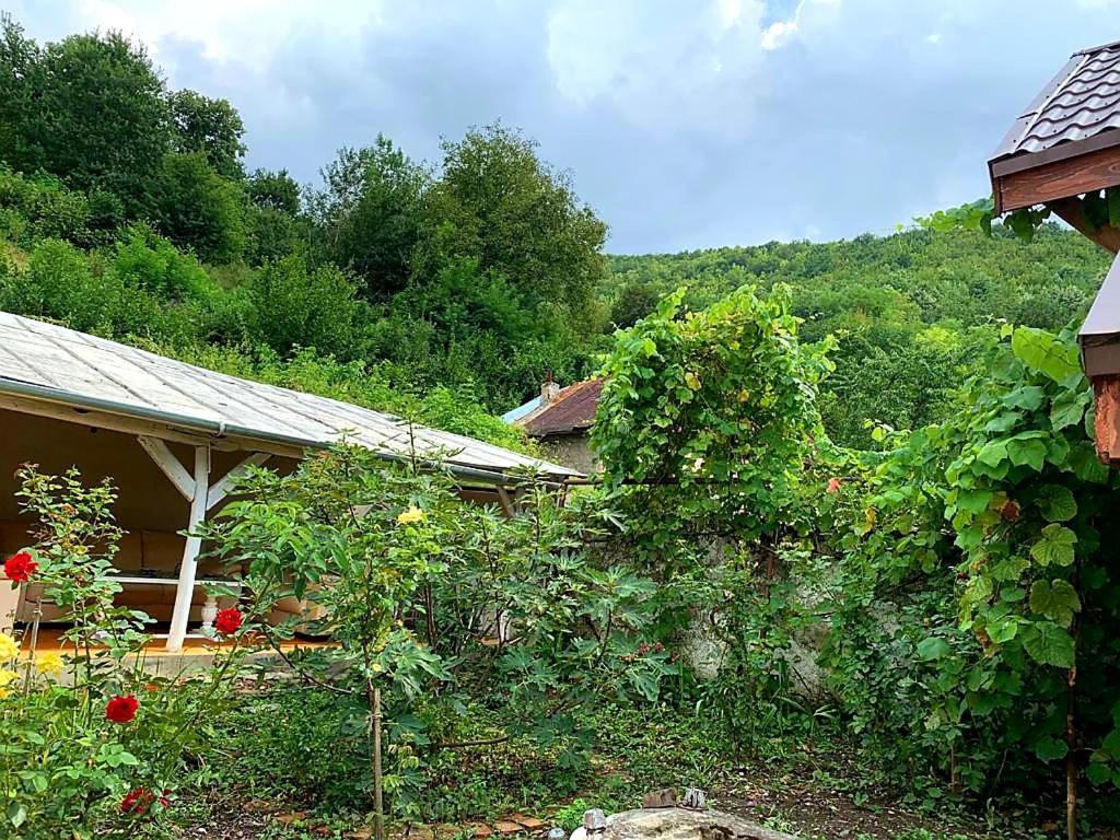 Casa Luna Betiluna Villa Oravita Buitenkant foto