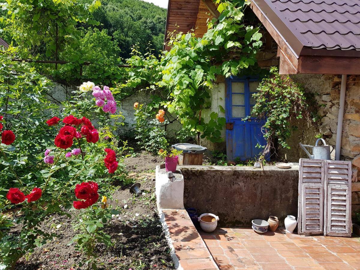 Casa Luna Betiluna Villa Oravita Buitenkant foto