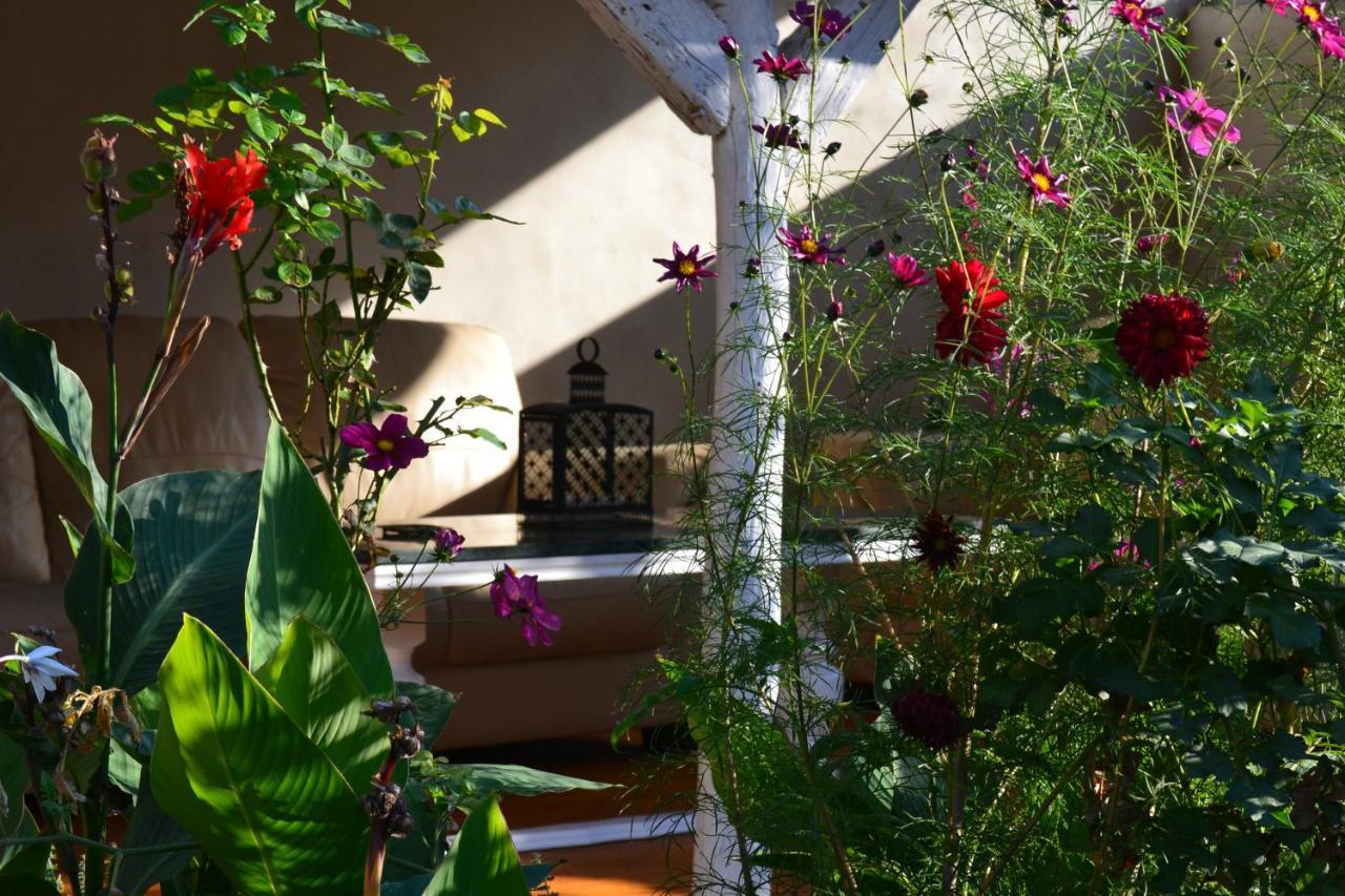 Casa Luna Betiluna Villa Oravita Buitenkant foto
